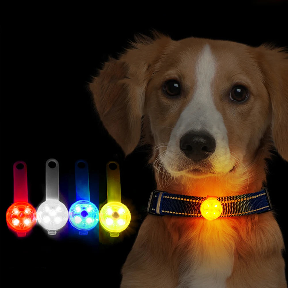 LED Sikkerhedslys til Hund – Vandtæt & Genopladeligt