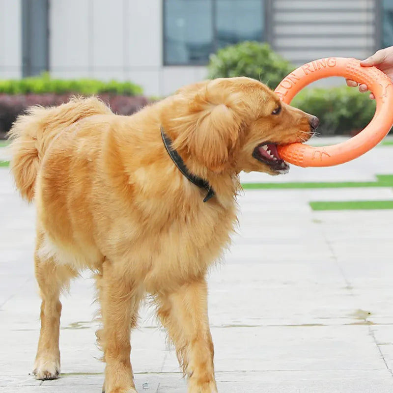Orange Hunde Disk Hundelegetøj