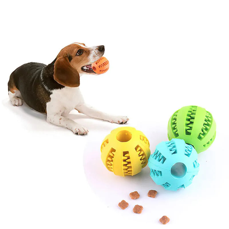 3 Hundebolde Hundelegetøj