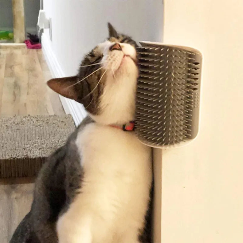 Katte Scratcher
