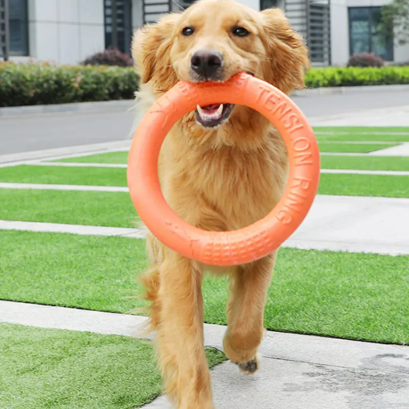 Orange Hunde Disk Hundelegetøj