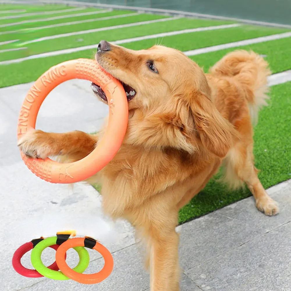 Hunde Disk Hundelegetøj