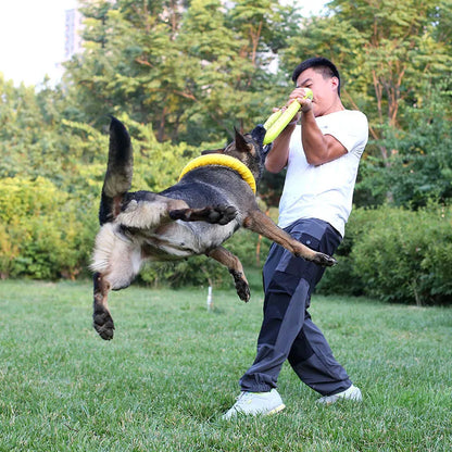 Hunde Disk Hundelegetøj