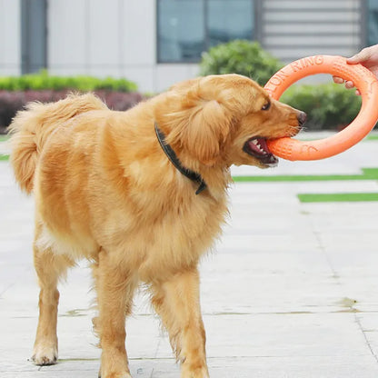 Orange Hunde Disk Hundelegetøj