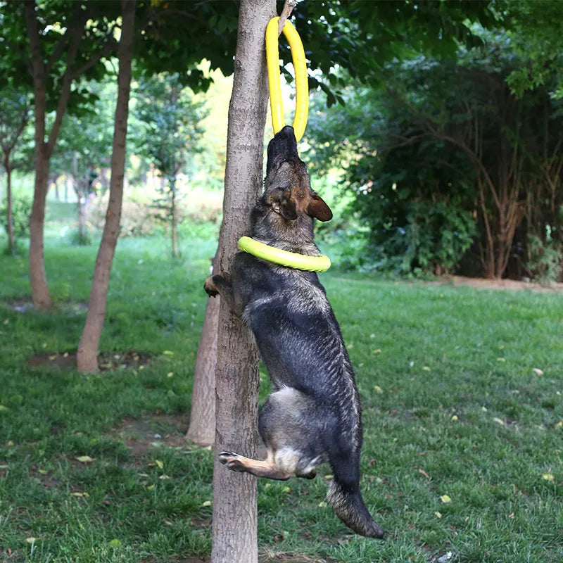 Hunde Disk Hundelegetøj